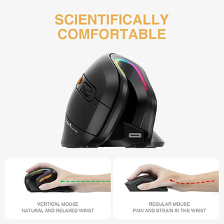 ProtoArc Ergonomic Vertical Wireless Bluetooth RGB Mouse - product details comfortable - b.savvi